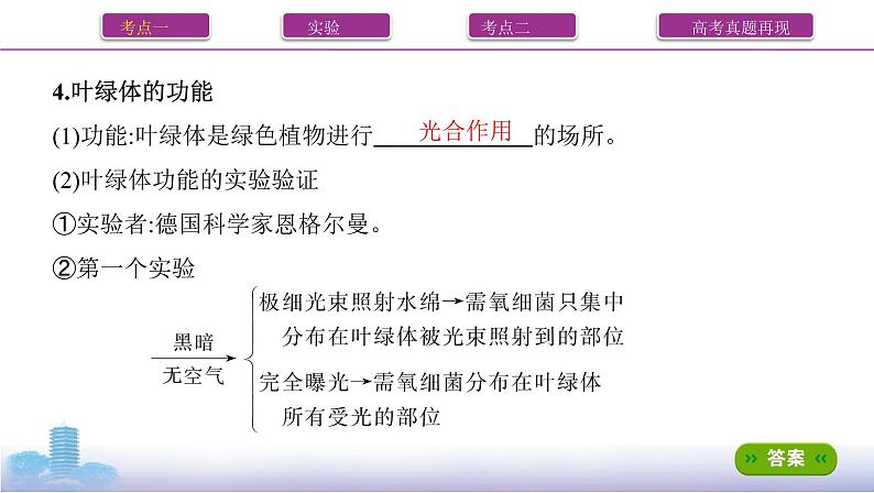 高考一轮复习第9讲 光合作用与能量转化课件PPT第5页