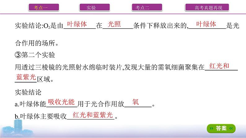 高考一轮复习第9讲 光合作用与能量转化课件PPT第6页