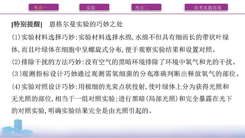 高考一轮复习第9讲 光合作用与能量转化课件PPT第7页