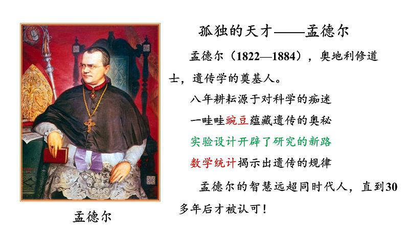 人教版2019必修2 1.1.1 孟德尔的豌豆杂交实验(一)课件PPT07