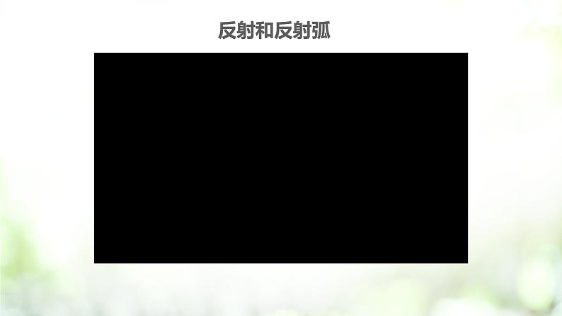 人教版2019选择性必修3 2.2 神经调节的基本方式课件PPT03