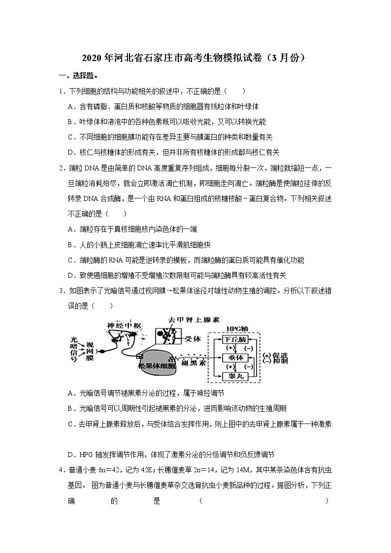 2020年河北省石家庄市高考生物模拟试卷(3月份)第1页