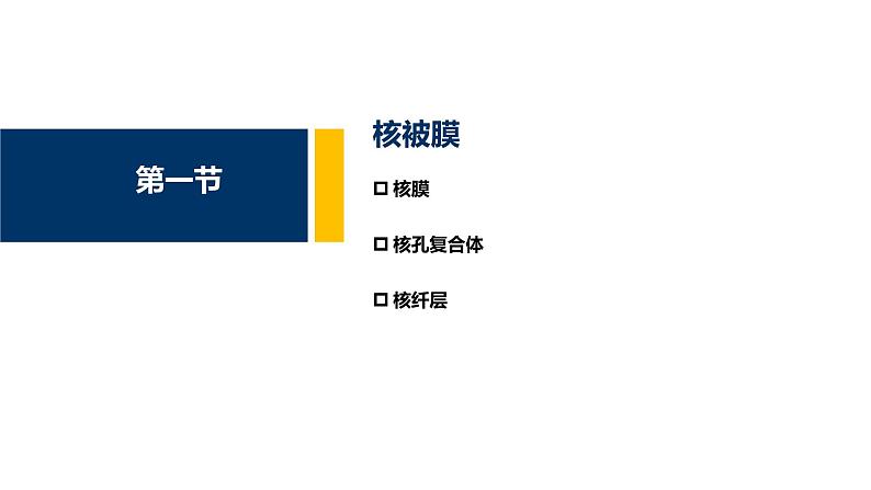 第09章 细胞核与染色质课件PPT第3页