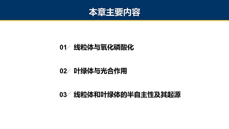 第07章 线粒体和叶绿体课件PPT第2页