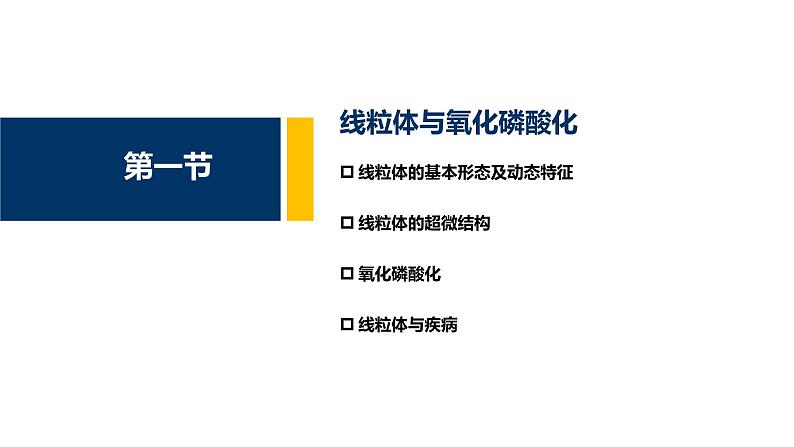 第07章 线粒体和叶绿体课件PPT第3页