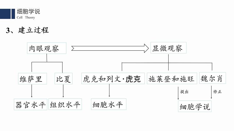 1.1.细胞是生命活动的基本单位课件PPT第8页
