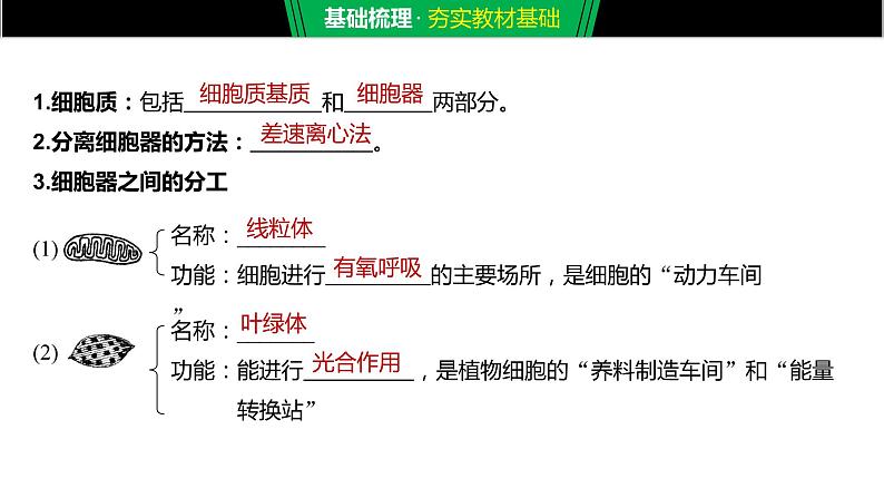 2020年高中生物新教材同步必修第一册 第3章 第2节 第1课时 细胞器之间的分工课件PPT第5页