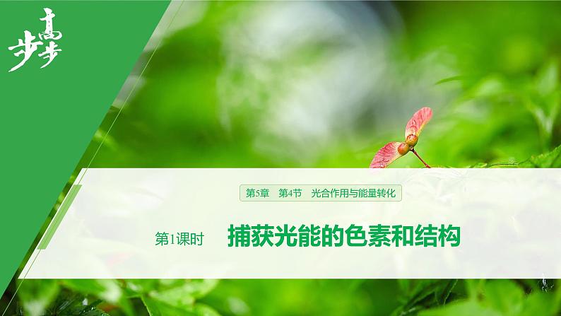2020年高中生物新教材同步必修第一册 第5章 第4节 第1课时 捕获光能的色素和结构课件PPT第1页