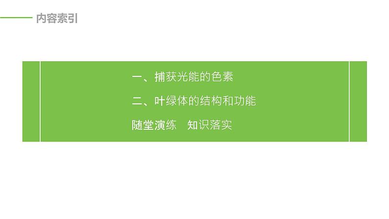2020年高中生物新教材同步必修第一册 第5章 第4节 第1课时 捕获光能的色素和结构课件PPT第3页