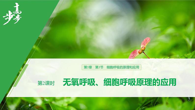 2020年高中生物新教材同步必修第一册 第5章 第3节 第2课时 无氧呼吸、细胞呼吸原理的应用课件PPT第1页