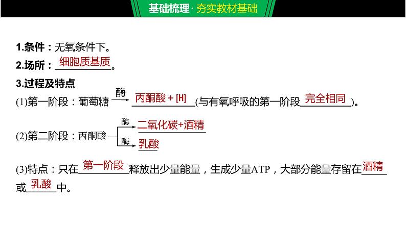 2020年高中生物新教材同步必修第一册 第5章 第3节 第2课时 无氧呼吸、细胞呼吸原理的应用课件PPT第5页