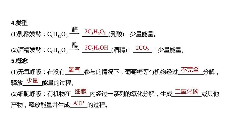 2020年高中生物新教材同步必修第一册 第5章 第3节 第2课时 无氧呼吸、细胞呼吸原理的应用课件PPT第6页