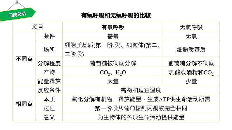 2020年高中生物新教材同步必修第一册 第5章 第3节 第2课时 无氧呼吸、细胞呼吸原理的应用课件PPT第7页