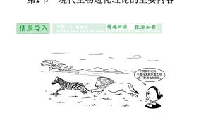 人教版 (新课标)必修2《遗传与进化》本节综合评课课件ppt