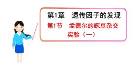 高中生物人教版 (新课标)必修2《遗传与进化》第1节 盂德尔的豌豆杂交实验（一）教学演示课件ppt