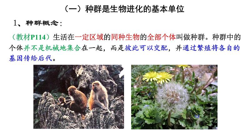 高中生物必修二 7.2 现代生物进化理论课件PPT05