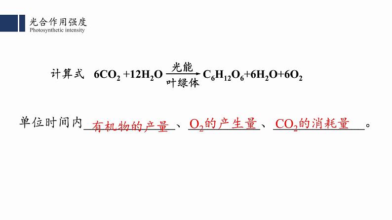 5.4.3 光合作用课件PPT第2页