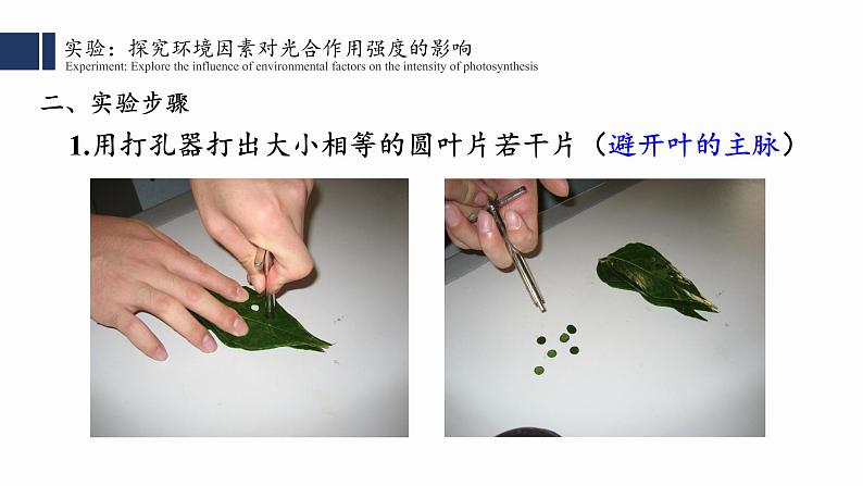5.4.3 光合作用课件PPT第4页