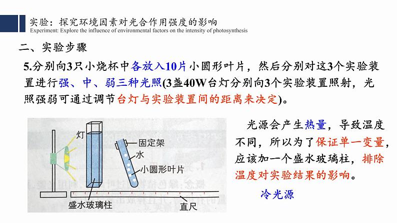 5.4.3 光合作用课件PPT第7页