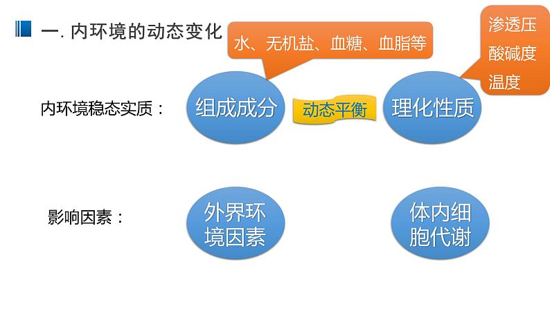 1.2 内环境的稳态 课件 【新教材】人教版(2019)高中生物选择性必修一03