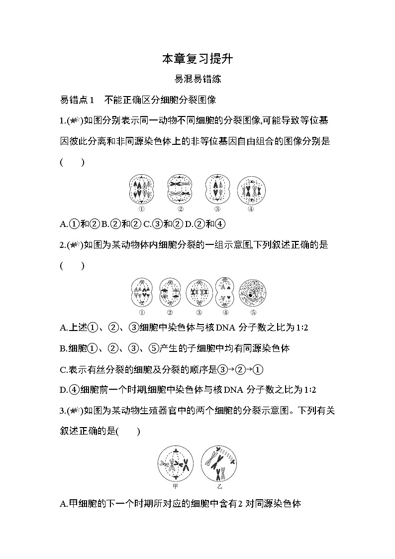 第2章 基因和染色体的关系复习提升第1页