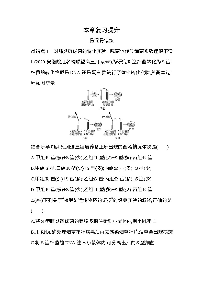 第3章 基因的本质复习提升 试卷01