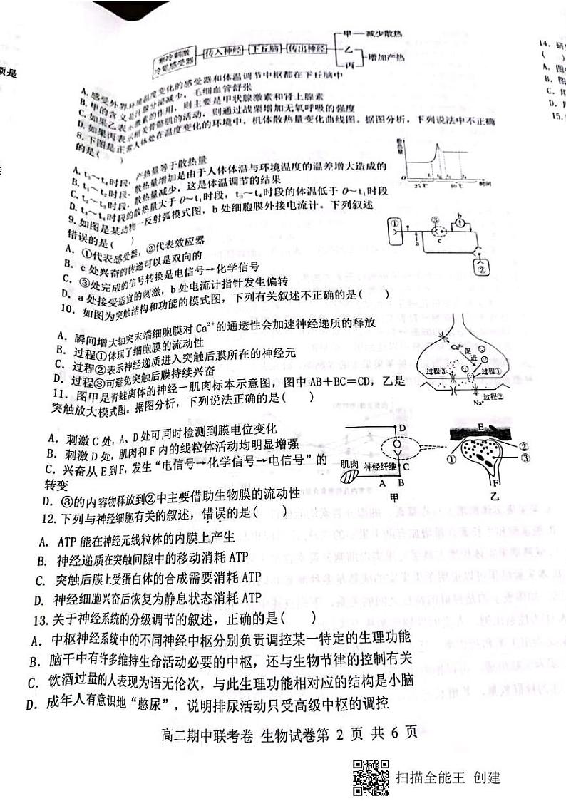 河南省开封市五县2021-2022学年高二上学期期中联考生物试题第2页