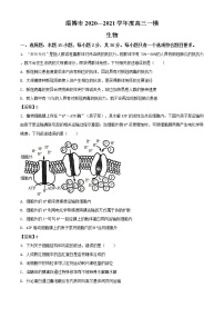 2021届山东省淄博市高三一模生物试题 (含答案)