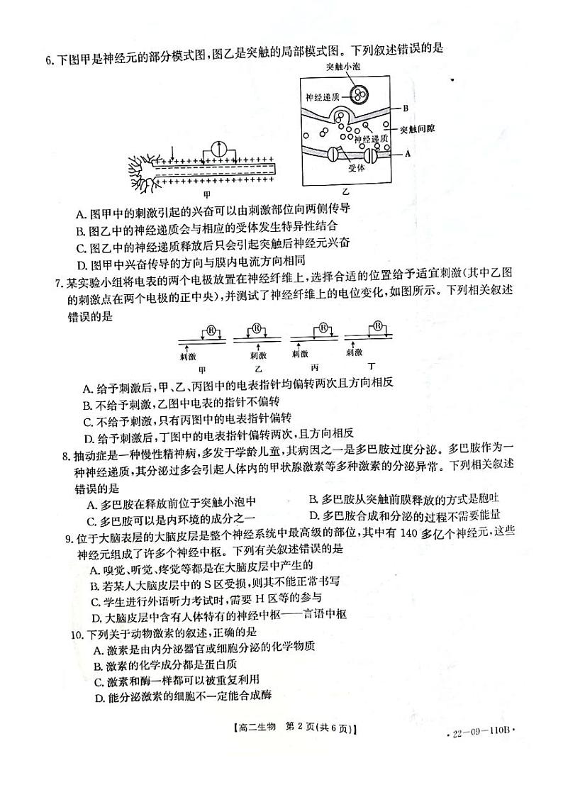 楂樹簩鐢熺墿第2页