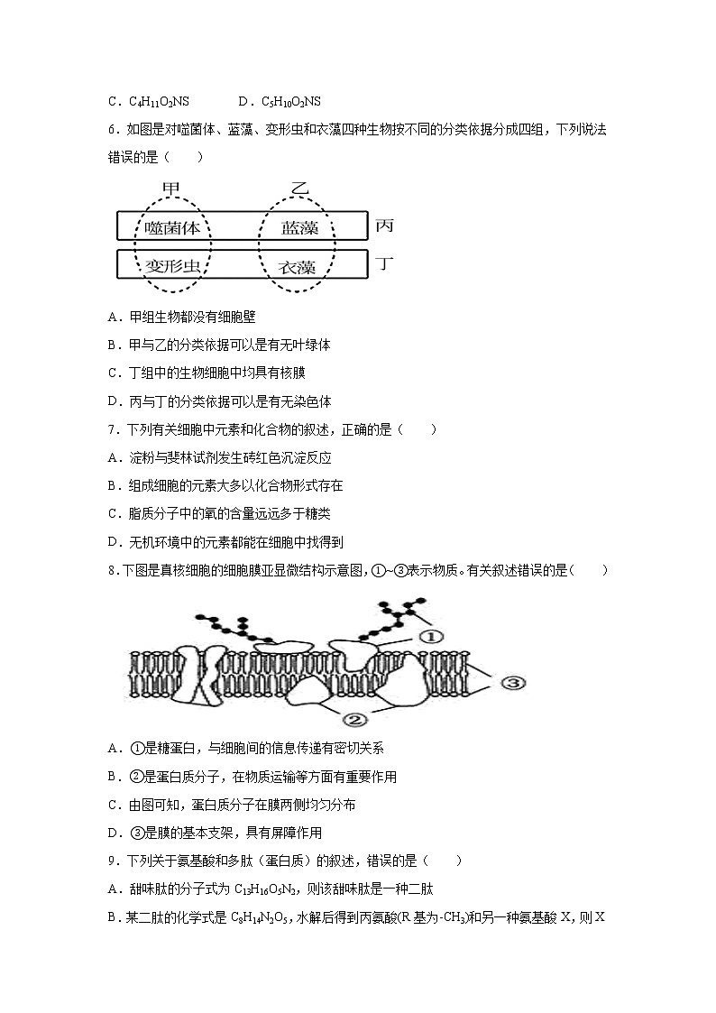河北省邢台市隆尧县唐尧中学2021-2022学年高一上学期第二次月考生物【试卷+答案】02