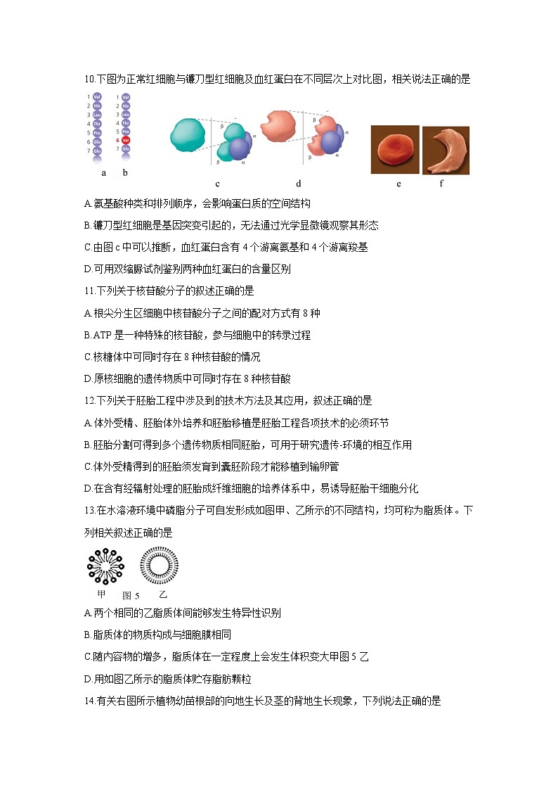 浙江省七彩阳光新高考研究联盟2022届高三上学期11月期中联考生物含答案 试卷03