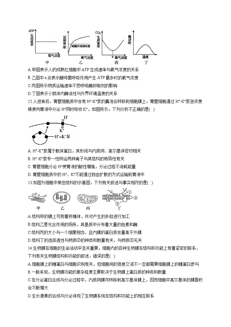 新课标新高考2022届高考生物二轮复习专题练(一):细胞的基本组成和物质运输(江苏地区使用)第3页