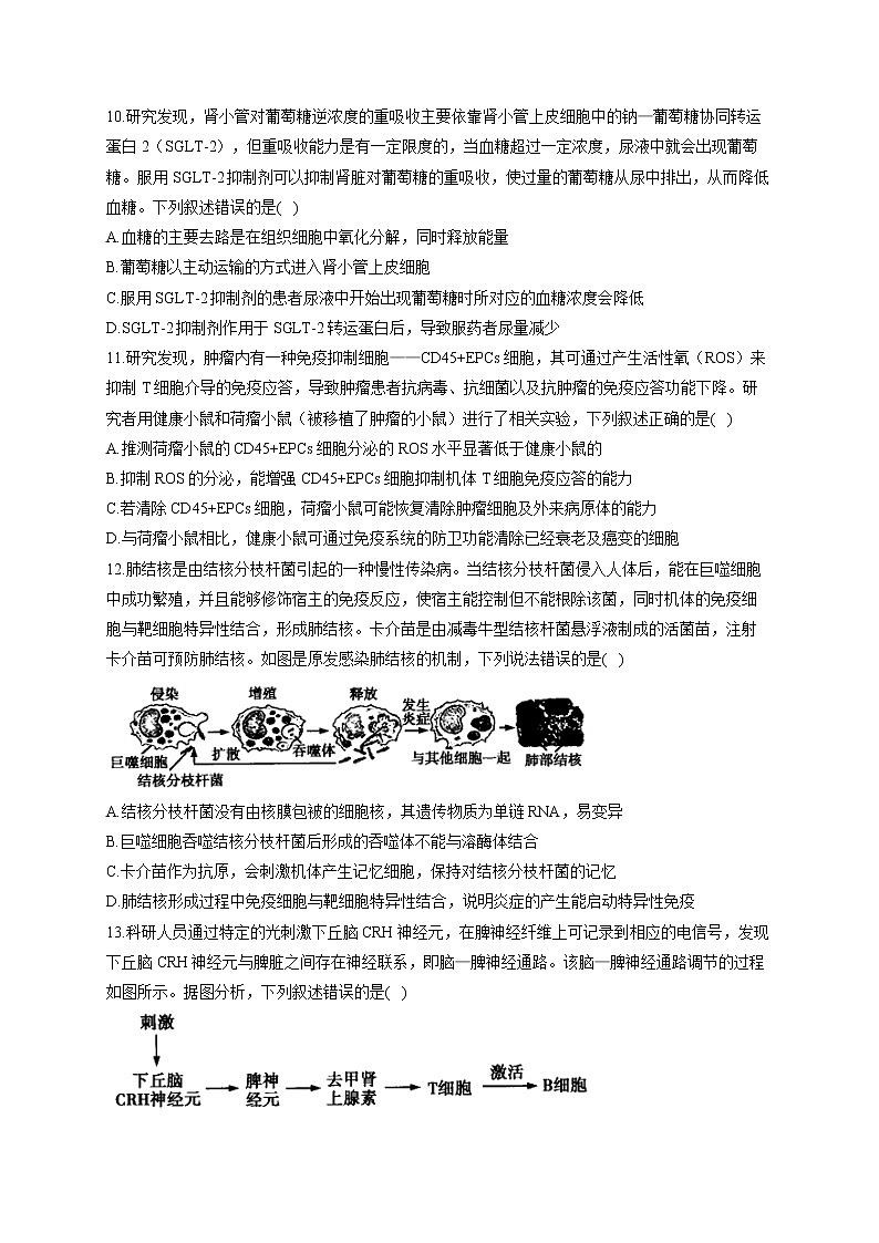 新课标新高考2022届高考生物二轮复习专题练(六):个体生命活动的调节(江苏地区使用)03