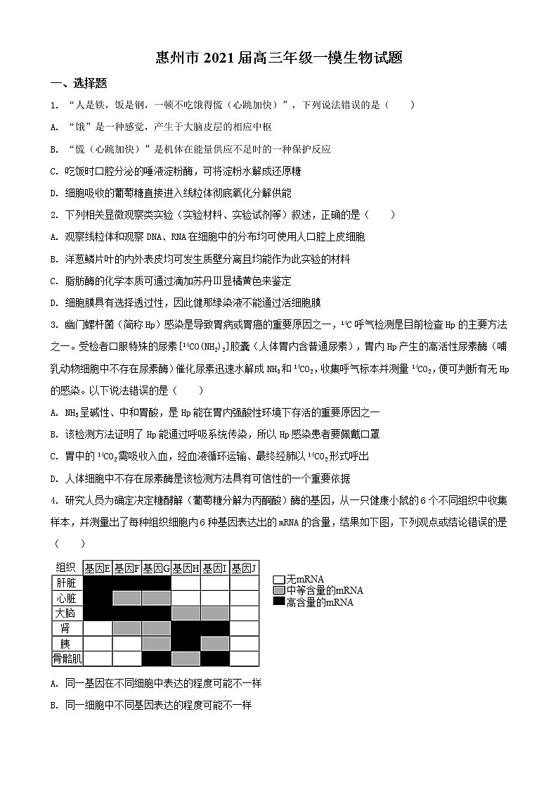 2021届广东省惠州市高三一模生物试题(含答案)01