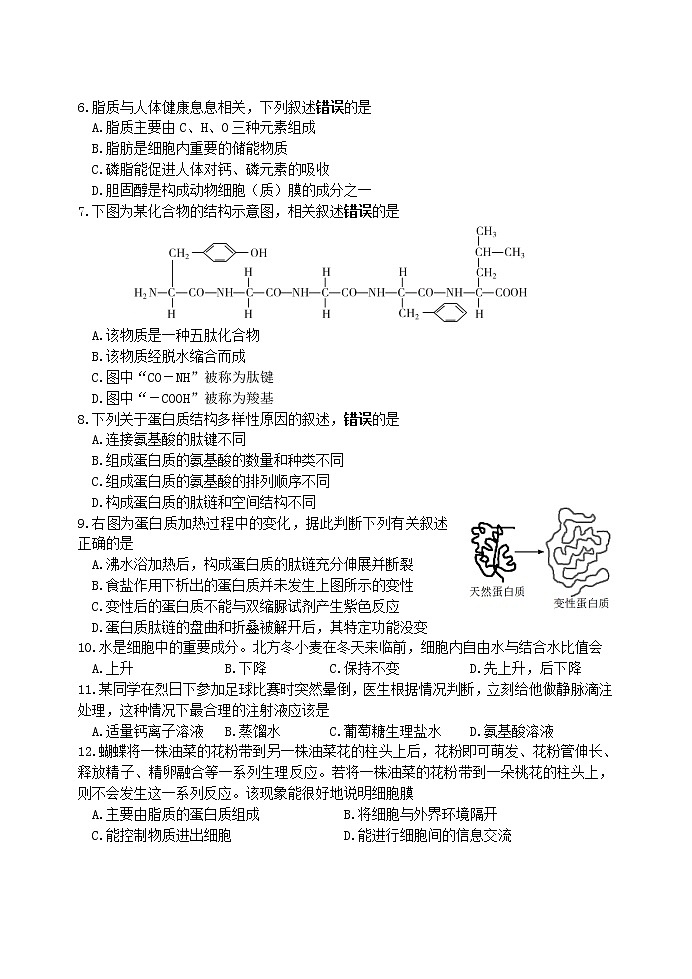 江苏省连云港市东海县2021-2022学年高一上学期期中考试生物【试卷+答案】第2页