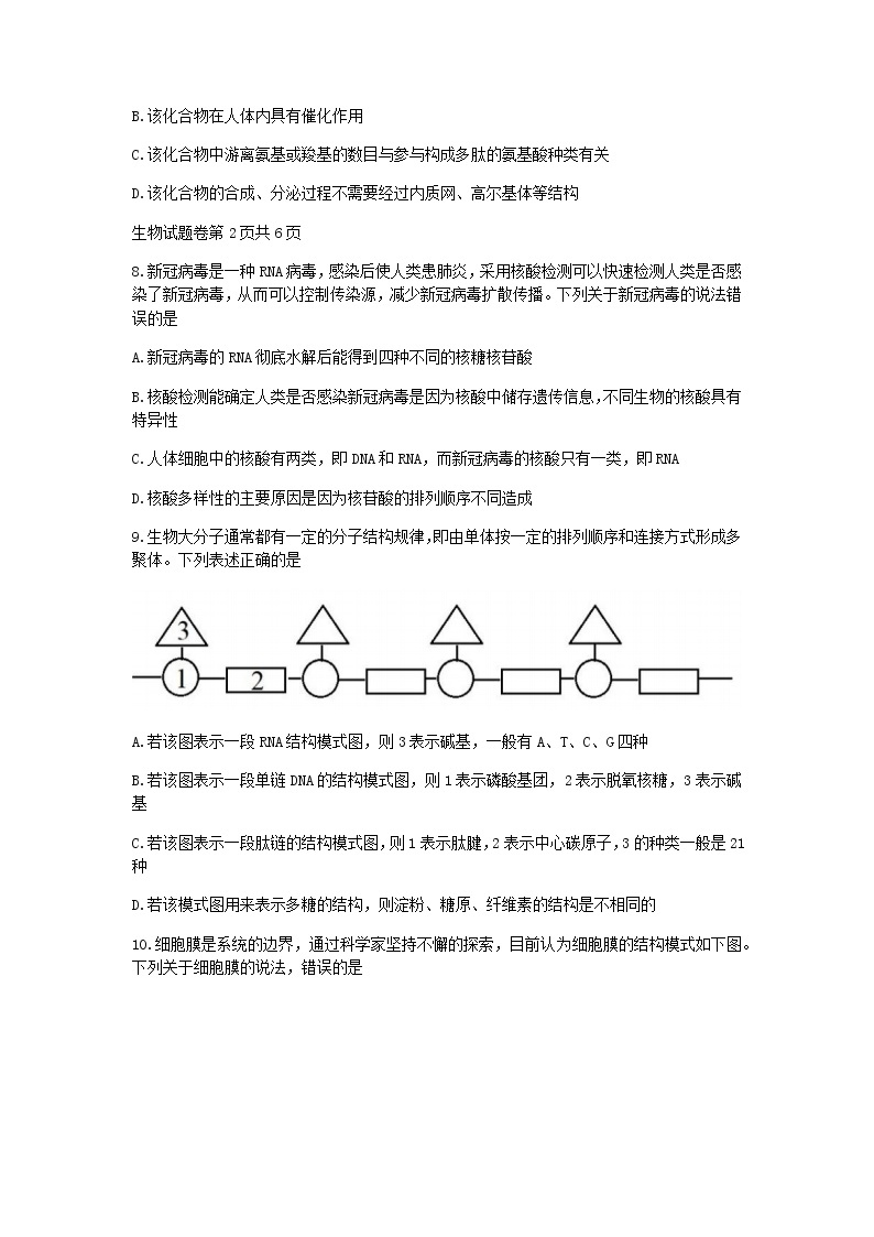 湖南省湖湘教育三新探索协作体2021-2022学年高一11月期中联考生物试题含答案03