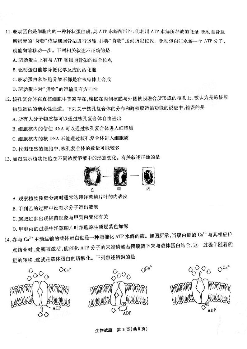 安徽省江淮十校2021-2022学年高三上学期11月第二次联考生物试题第3页