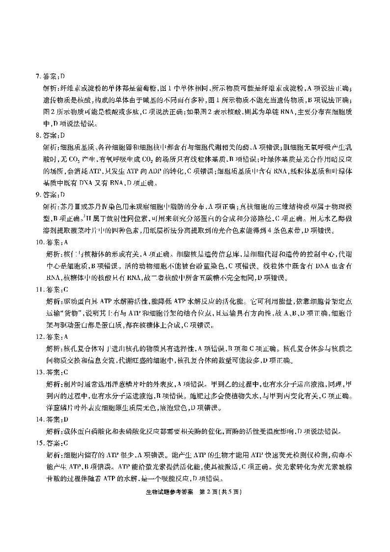 江淮十校-生物答案第2页
