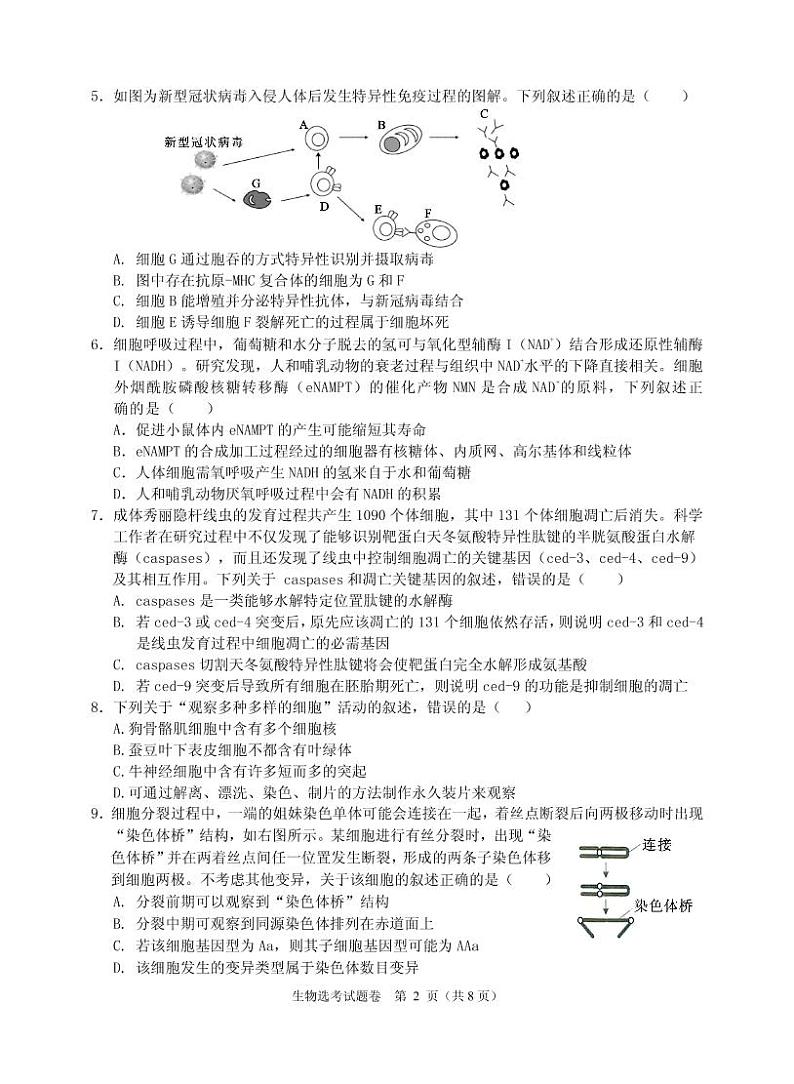 2021届浙江省绍兴市稽阳联谊学校高三上学期11月联考生物试题 PDF版02