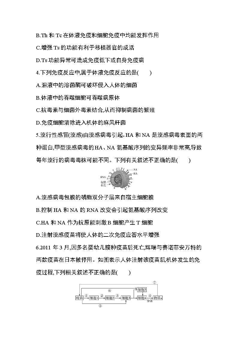 第4章 免疫调节达标检测02