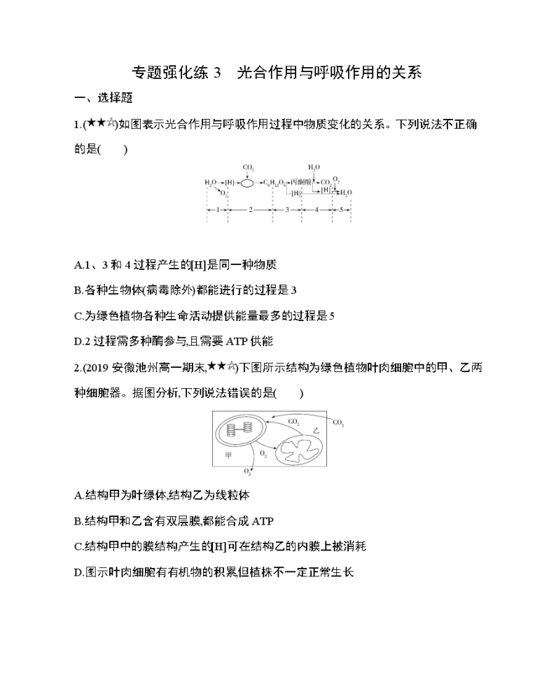 4_专题强化练3 光合作用与呼吸作用的关系01