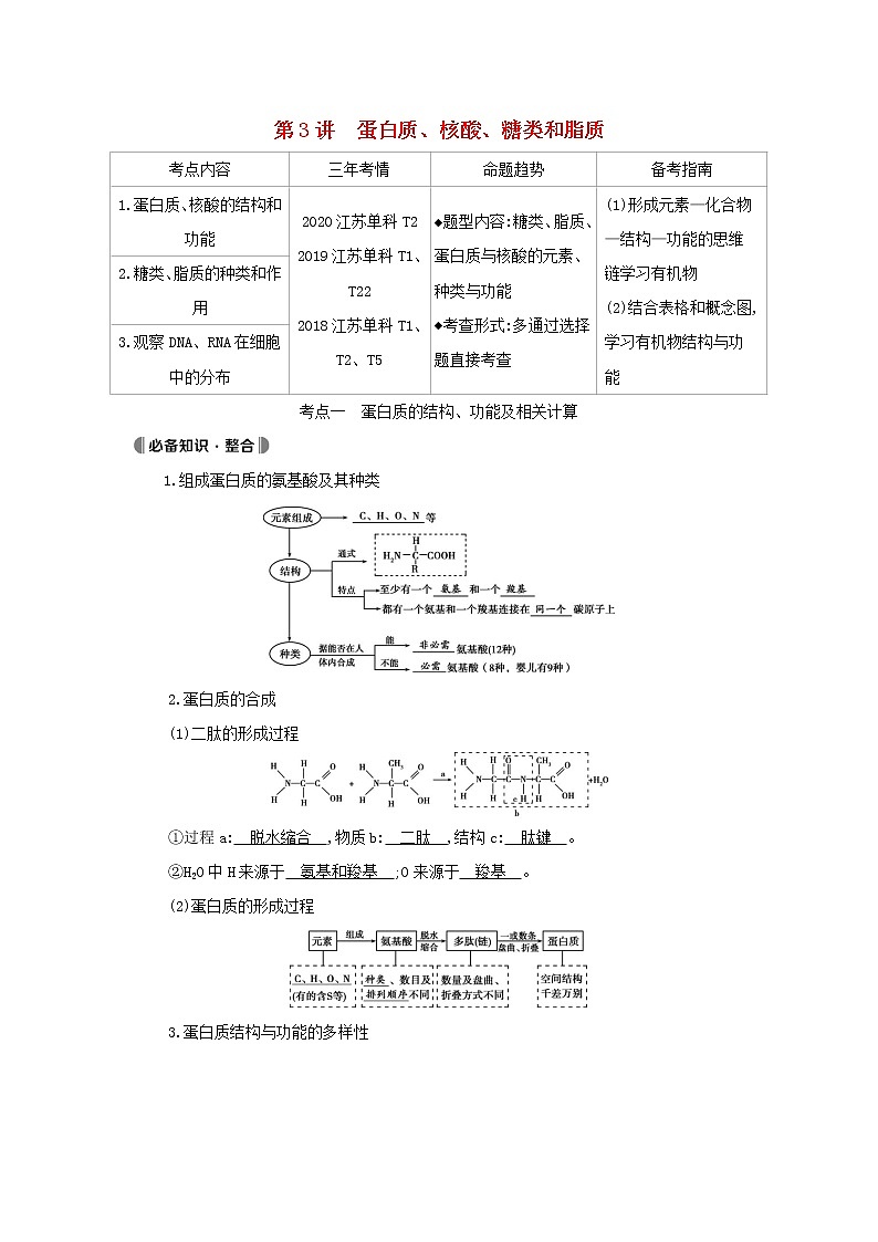 江苏版2022版高考生物总复习第1单元走近细胞与细胞的分子组成第3讲蛋白质核酸糖类和脂质教案第1页