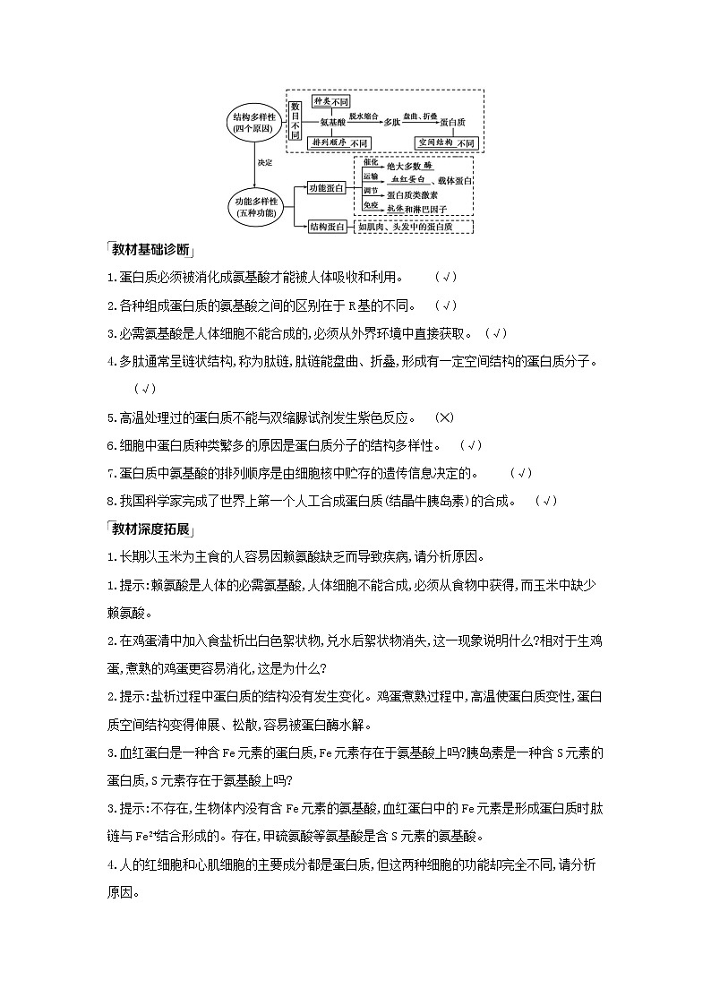 江苏版2022版高考生物总复习第1单元走近细胞与细胞的分子组成第3讲蛋白质核酸糖类和脂质教案第2页