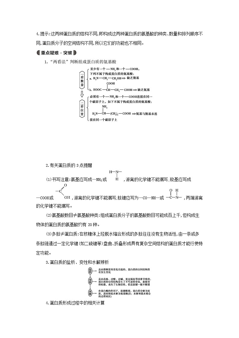 江苏版2022版高考生物总复习第1单元走近细胞与细胞的分子组成第3讲蛋白质核酸糖类和脂质教案第3页
