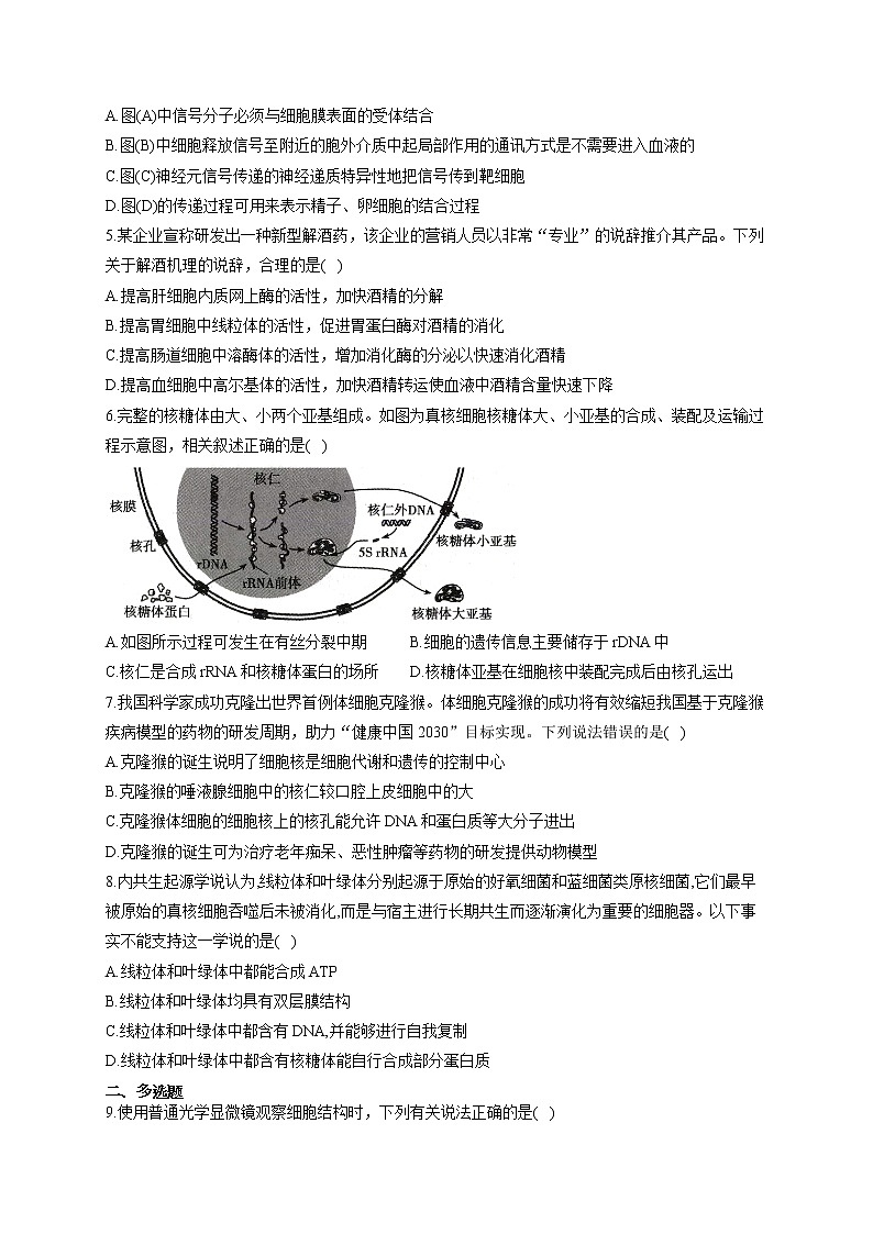 【新课标新高考】2022届高考生物二轮复习专题练AB卷 专题二 细胞的结构与功能(B卷)第2页