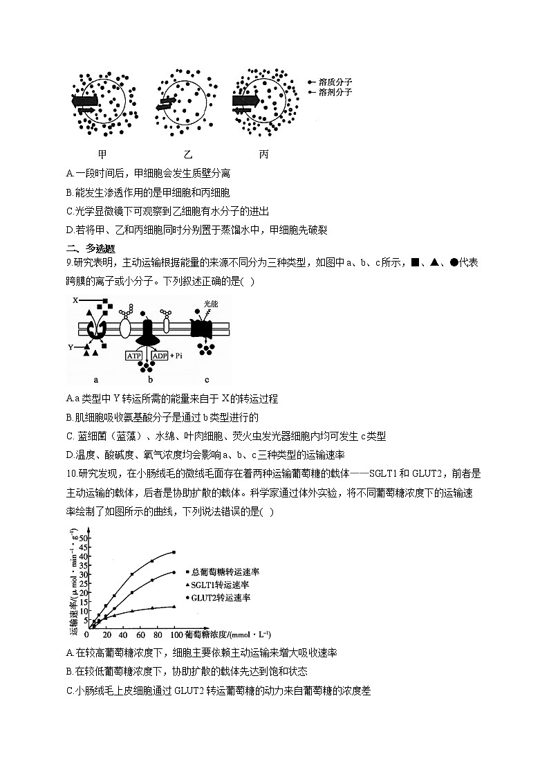 【新课标新高考】2022届高考生物二轮复习专题练AB卷 专题三 细胞的物质输入和输出(B卷)第3页