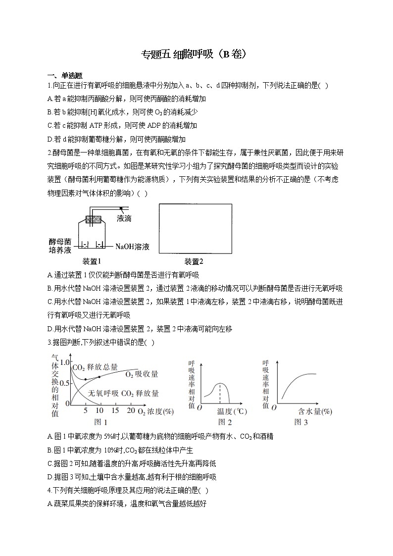 【新课标新高考】2022届高考生物二轮复习专题练AB卷 专题五 细胞呼吸(B卷)第1页