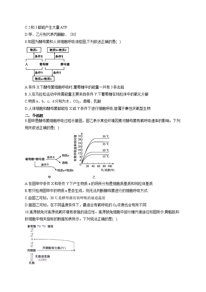 【新课标新高考】2022届高考生物二轮复习专题练AB卷 专题五 细胞呼吸(B卷)第3页