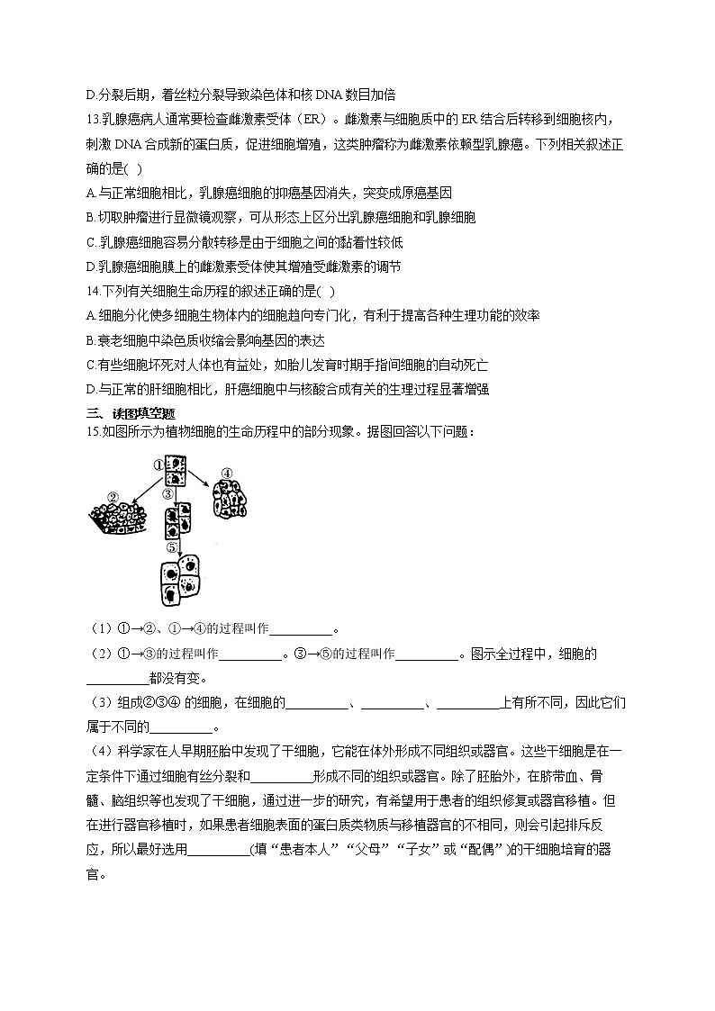 【新课标新高考】2022届高考生物二轮复习专题练AB卷 专题七 细胞的生命历程(A卷)第3页