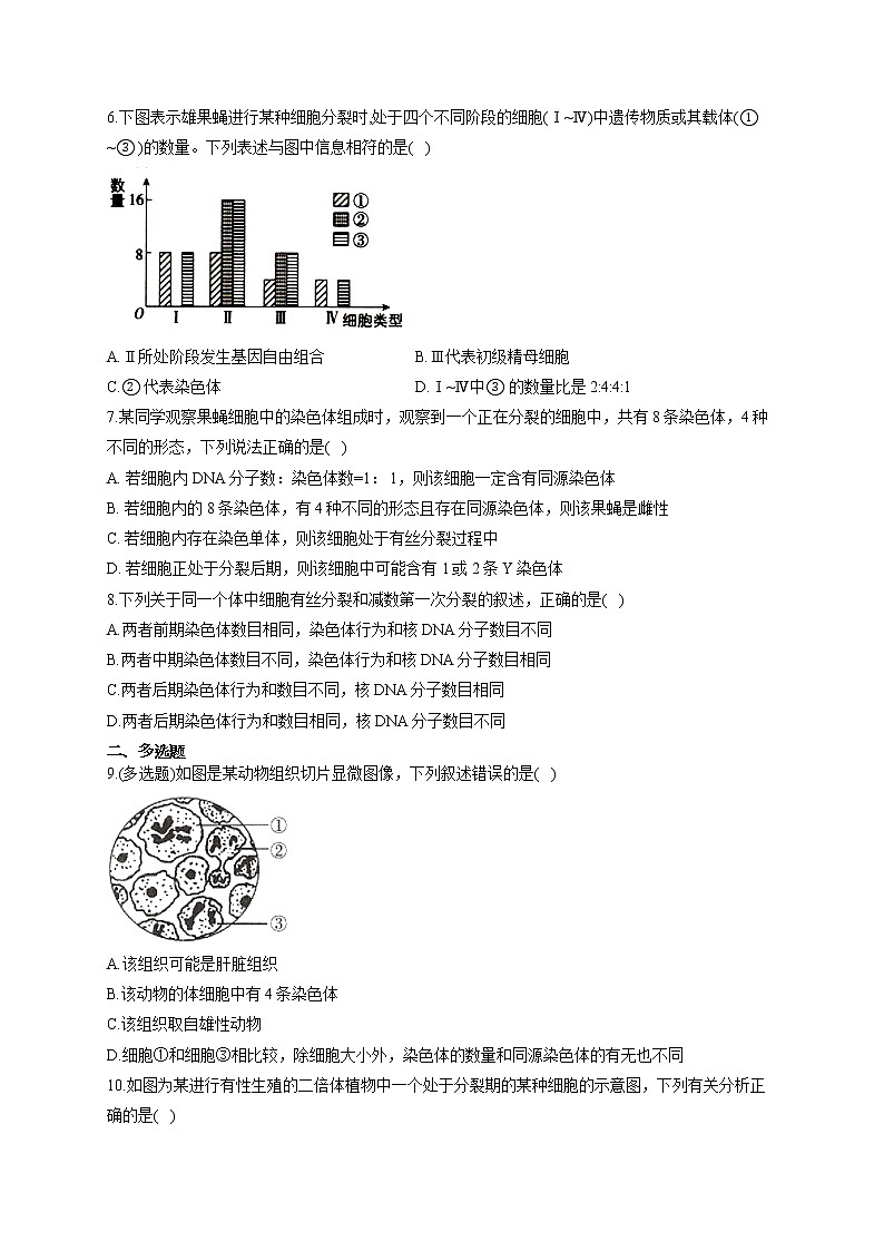【新课标新高考】2022届高考生物二轮复习专题练AB卷 专题八 遗传的细胞基础(A卷)第2页
